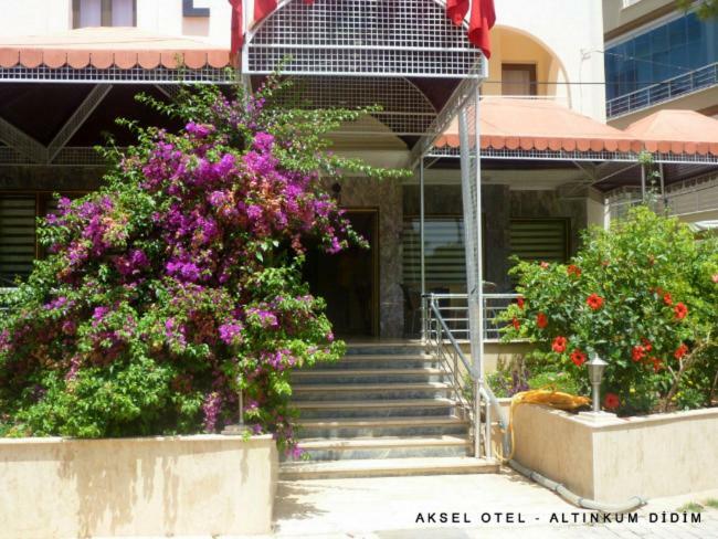 Aksel Aydin Ngoại thất bức ảnh
